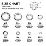 320Pcs Stainless Steel Star Lock Washers Set