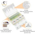 30 Microscope Slides with Specimens for Students