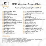 30 Microscope Slides with Specimens for Students