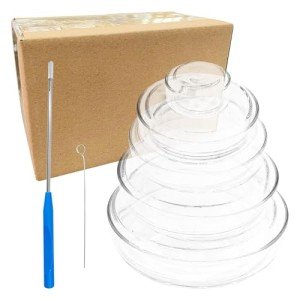 5-Pack Glass Petri Dishes with Lids & Inoculation Loop