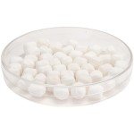 Clear Round Petri Dishes, 6" Pack of 4