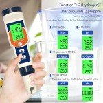 Hydrogen Water Tester: 4-in-1 pH & ORP Kit