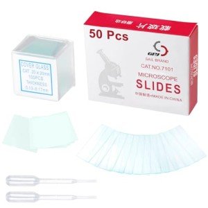 Clear Glass Microscope Slides with Cover Slips – 50 Pcs