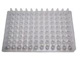 Advangene 96 Well PCR Non-Skirt Plate, 0.2ml