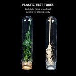 12-Pack Multipurpose Plastic Test Tubes and Bottles