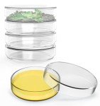60mm Glass Petri Dishes with Lids - Pack of 5