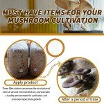 PTFE Filter Paper Discs for Mushroom Cultivation (120)