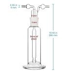 Stonylab Borosilicate Gas Washing Bottle, 250ml