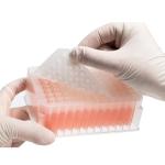 PEKYBIO 96-Well Silicone Sealing Mat, 10 Pack