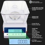 RUISHAN 500g High Precision Analytical Lab Balance