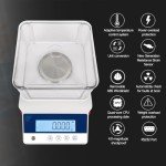 RUISHAN 500g High Precision Analytical Lab Balance