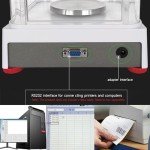 RUISHAN 500g High Precision Analytical Lab Balance