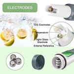 3-in-1 Digital pH Meter with Temperature Test