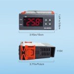 Inkbird ITC-1000 Dual Stage Temperature Controller