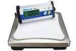 Adam Equipment CPWplus 35 Bench Scale, 75lb Capacity