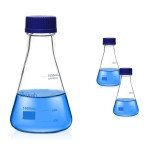 Erlenmeyer Flask Set with Blue Caps - 1000ml