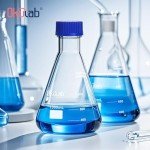 Erlenmeyer Flask Set with Blue Caps - 1000ml