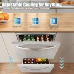 24 Inch Stainless Steel Double Drawer Fridge
