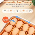 APODESS 56 Automatic Egg Incubator with Control Features