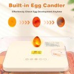 APODESS 56 Automatic Egg Incubator with Control Features