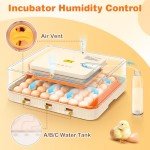 APODESS 56 Automatic Egg Incubator with Control Features
