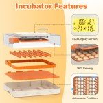 APODESS 56 Automatic Egg Incubator with Control Features