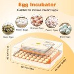 APODESS 56 Automatic Egg Incubator with Control Features