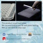 96 Well PCR Plates, 0.2 mL, 10 Pack