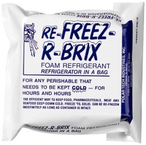 Polar Tech RB15 Foam Refrigerant Pack - Case of 6