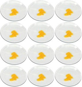 EISCO 12-Pack 6" Watch Glasses for Lab Use
