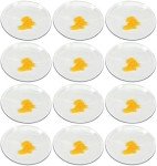 EISCO 12-Pack 6" Watch Glasses for Lab Use