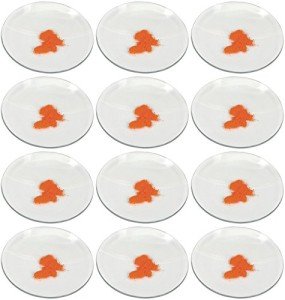 EISCO 12-Pack Polished Watch Glasses - 2.4