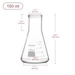 StonyLab 100ml Borosilicate Glass Erlenmeyer Flasks - 2 Pack
