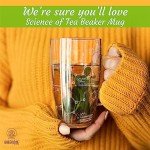 Glass Chemistry Tea Cups - 18 oz Beaker Mug