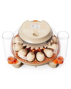 Innsky 12-Egg Incubator with Humidity Control