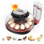 Automatic Egg Incubator with Temperature Control - 12 Eggs