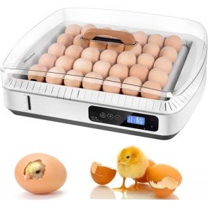 Large Automatic Egg Incubator for Chickens, Ducks, Quails