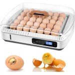 Large Automatic Egg Incubator for Chickens, Ducks, Quails