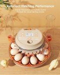 Innsky 12-Egg Incubator with Humidity Control