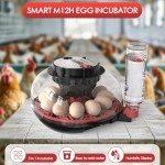Automatic Egg Incubator with Temperature Control - 12 Eggs