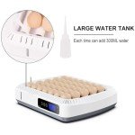 Large Automatic Egg Incubator for Chickens, Ducks, Quails