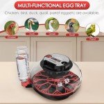 Automatic Egg Incubator with Temperature Control - 12 Eggs