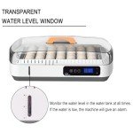 Large Automatic Egg Incubator for Chickens, Ducks, Quails
