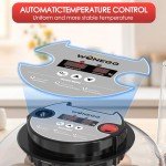 Automatic Egg Incubator with Temperature Control - 12 Eggs