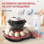 12-Egg Hatching Incubator with Humidity & Temp Display