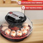 Automatic Egg Incubator with Temperature Control - 12 Eggs