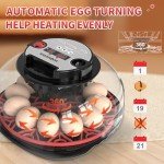 12-Egg Hatching Incubator with Humidity & Temp Display