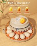 Innsky 12-Egg Incubator with Humidity Control