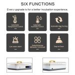 Large Automatic Egg Incubator for Chickens, Ducks, Quails