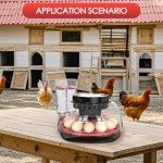 Automatic Egg Incubator with Temperature Control - 12 Eggs
